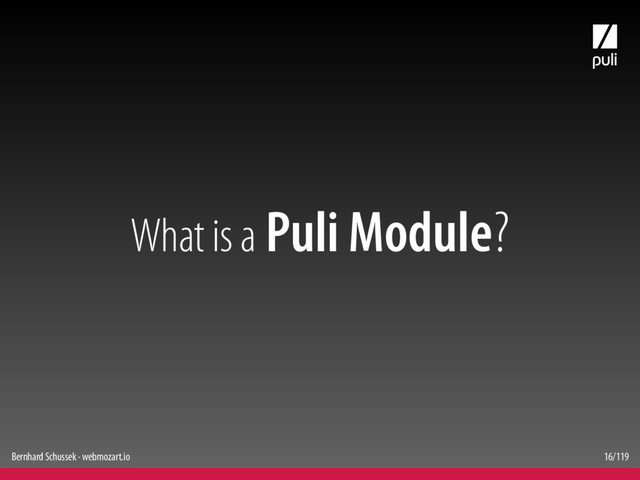 Bernhard Schussek · webmozart.io 16/119
What is a Puli Module?

