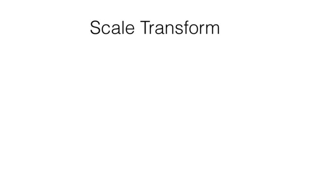 Scale Transform
