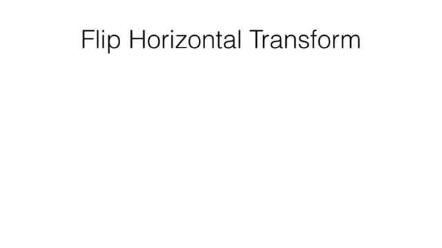 Flip Horizontal Transform
