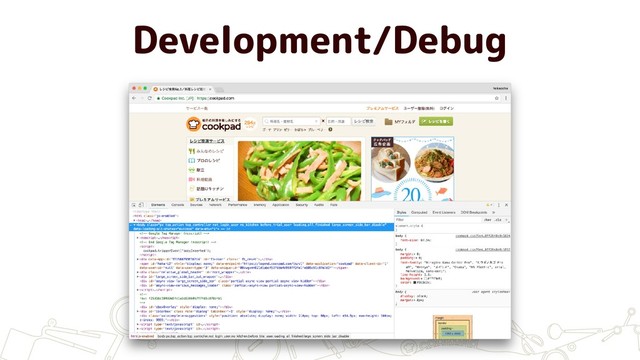 Development/Debug
