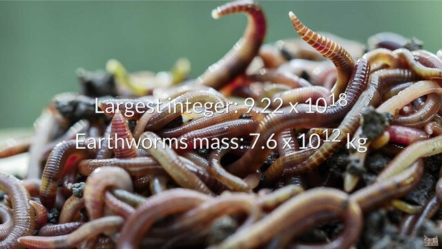 Largest integer: 9.22 x 10
Largest integer: 9.22 x 1018
18
Earthworms mass: 7.6 x 10
Earthworms mass: 7.6 x 1012
12 kg
kg
