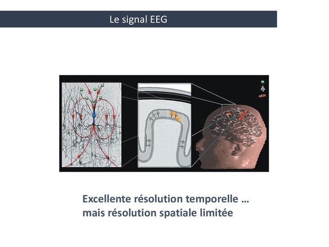 Le signal EEG
Excellente résolution temporelle …
mais résolution spatiale limitée
