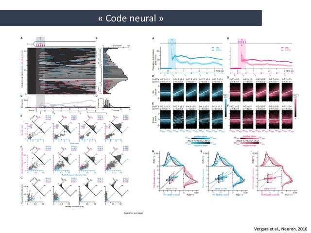 « Code neural »
Vergara et al., Neuron, 2016
