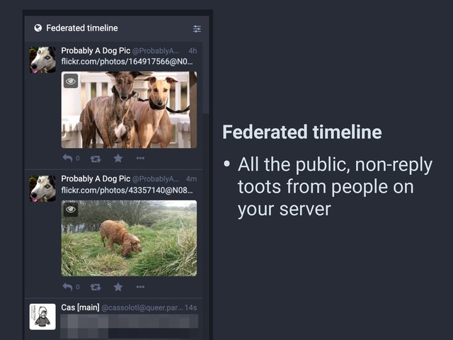 Federated timeline
• All the public, non-reply
toots from people on
your server
