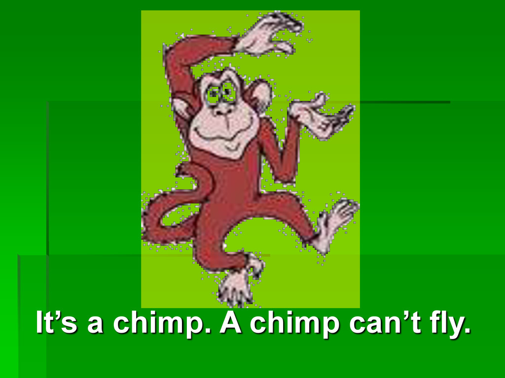 A chimp can sing. The Chimp can. Spotlight 2 класс Chimp картинки. A Chimp can Dance картинки. Как произносить Chimp.