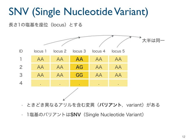 SNV (Single Nucleotide Variant)
12
*% MPDVT MPDVT MPDVT MPDVT MPDVT
 "" "" "" "" ""
 "" "" "( "" ""
 "" "" (( "" ""
     
௕͞ͷԘجΛ࠲ҐʢMPDVTʣͱ͢Δ
େ൒͸ಉҰ
w ͱ͖Ͳ͖ҟͳΔΞϦϧΛؚΉมҟʢόϦΞϯτɼWBSJBOUʣ͕͋Δ
w ԘجͷόϦΞϯτ͸4/7ʢ4JOHMF/VDMFPUJEF7BSJBOUʣ
