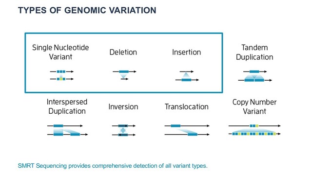 TYPES OF GENOMIC VARIATION
SMRT Sequencing provides comprehensive detection of all variant types.

