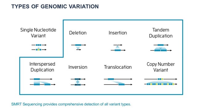 TYPES OF GENOMIC VARIATION
SMRT Sequencing provides comprehensive detection of all variant types.
