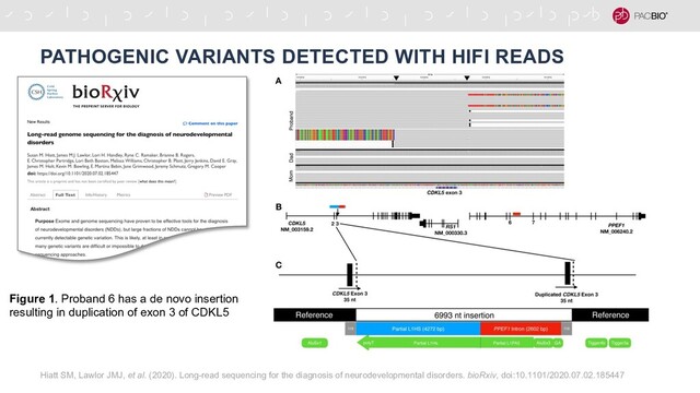 PATHOGENIC VARIANTS DETECTED WITH HIFI READS
Hiatt SM, Lawlor JMJ, et al. (2020). Long-read sequencing for the diagnosis of neurodevelopmental disorders. bioRxiv, doi:10.1101/2020.07.02.185447
Figure 1. Proband 6 has a de novo insertion
resulting in duplication of exon 3 of CDKL5
