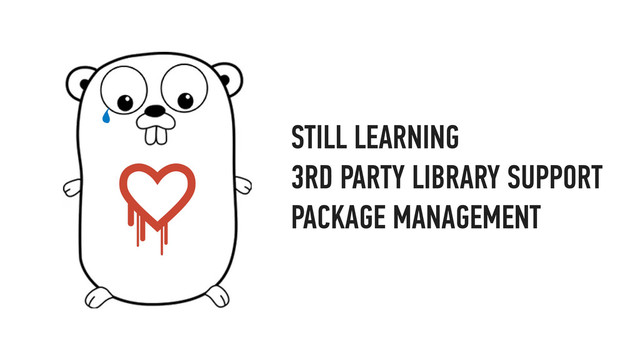 STILL LEARNING
3RD PARTY LIBRARY SUPPORT
PACKAGE MANAGEMENT
