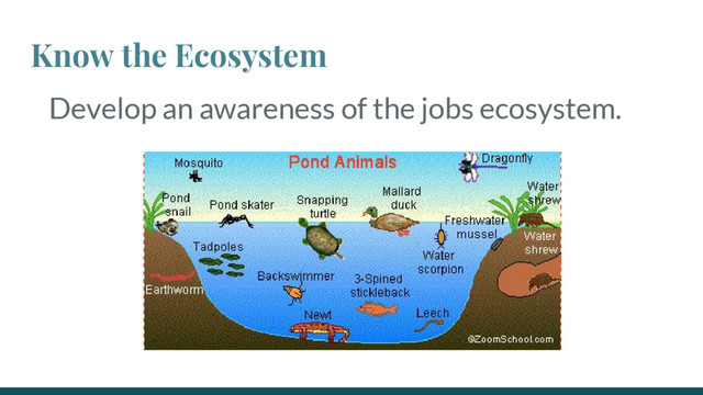 Know the Ecosystem
Develop an awareness of the jobs ecosystem.

