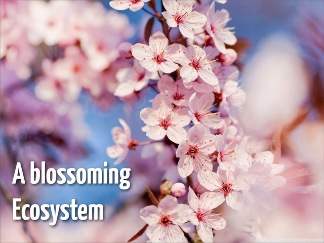 A blossoming
Ecosystem
