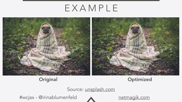 #wcjax - @irinablumenfeld netmagik.com
E X A M P L E
Original Optimized
Source: unsplash.com
