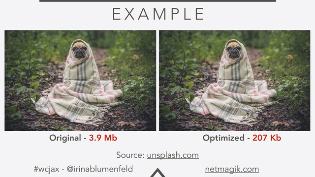 #wcjax - @irinablumenfeld netmagik.com
E X A M P L E
Original - 3.9 Mb Optimized - 207 Kb
Source: unsplash.com
