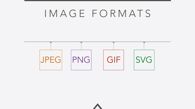 I M A G E F O R M AT S
JPEG PNG GIF SVG
