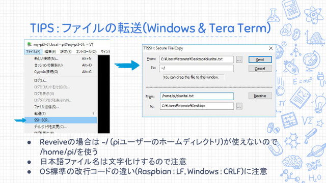 TIPS : ファイルの転送(Windows & Tera Term)
● Reveiveの場合は ~/ (piユーザーのホームディレクトリ)が使えないので
/home/pi/を使う
● 日本語ファイル名は文字化けするので注意
● OS標準の改行コードの違い(Raspbian : LF, Windows : CRLF)に注意

