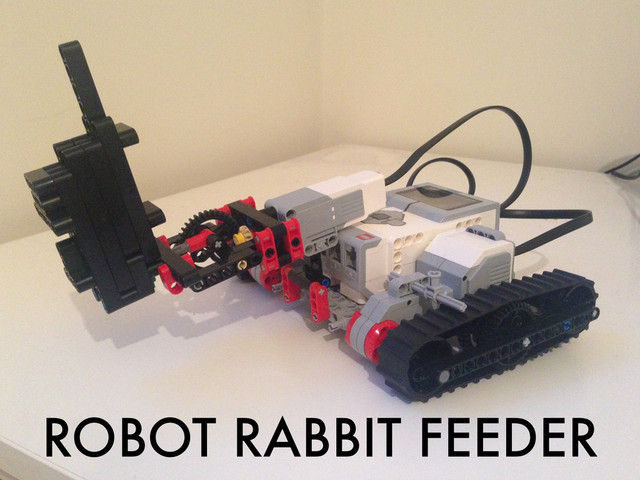 ROBOT RABBIT FEEDER
