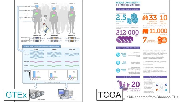 GTEx TCGA
slide adapted from Shannon Ellis
