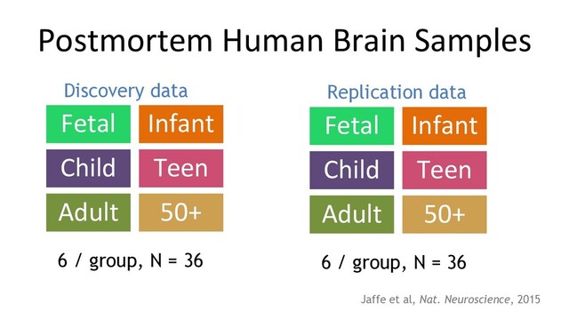 Fetal Infant
Child Teen
Adult 50+
6 / group, N = 36
Discovery data
Jaffe et al, Nat. Neuroscience, 2015
Postmortem Human Brain Samples
Fetal Infant
Child Teen
Adult 50+
6 / group, N = 36
Replication data
