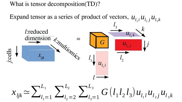 What is tensor decomposition(TD)?
Expand tensor as a series of product of vectors,
x
ijk
l:reduced
dimension
j:cells
k:multiomics
G
k
j
l
l
1
l
2
l
3
=
u
l
1
l
u
l
2
j
u
l
3
k
u
l
1
i
u
l
2
j
u
l
3
k
x
ljk
≃∑
l
1
=1
L
1 ∑
l
2
=2
L
2 ∑
l
3
=1
L
3 G (l
1
l
2
l
3
)u
l
1
l
u
l
2
j
u
l
3
k
