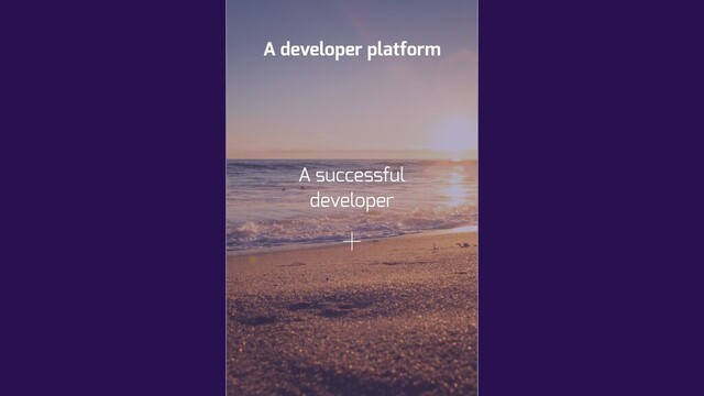 A developer platform
A successful
developer
