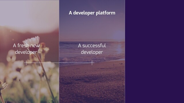 A developer platform
A successful
developer
A fresh new
developer
