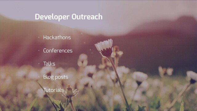 Developer Experience
1st site
visit
Successful
integration
Advocacy
Outreach
• Hackathons
• Conferences
• Talks
• Blog posts
• Tutorials
Developer Outreach
