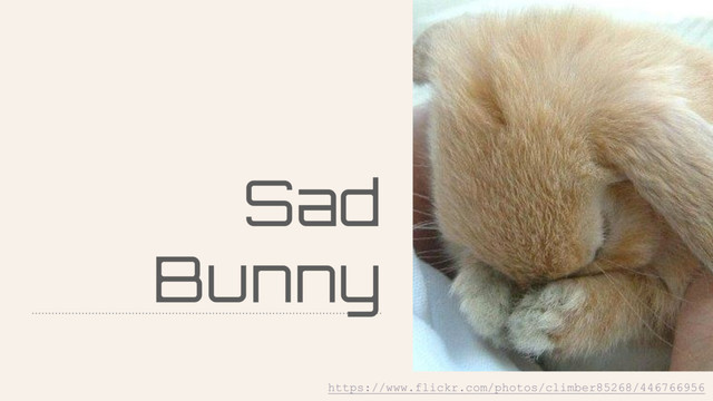 Sad
Bunny
https://www.flickr.com/photos/climber85268/446766956

