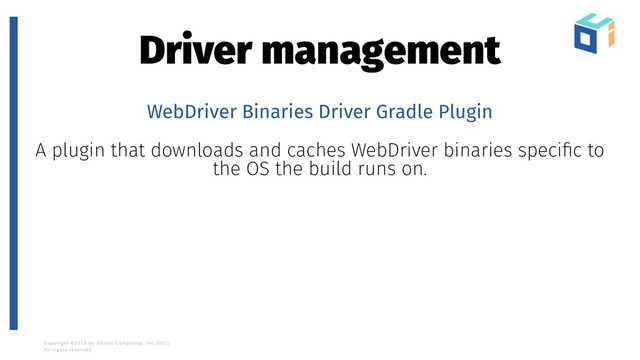Driver management
WebDriver Binaries Driver Gradle Plugin
A plugin that downloads and caches WebDriver binaries speciﬁc to
the OS the build runs on.
