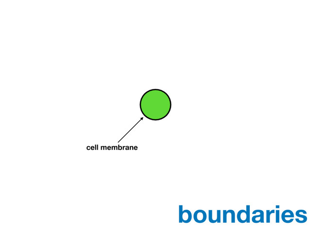 cell membrane
boundaries
