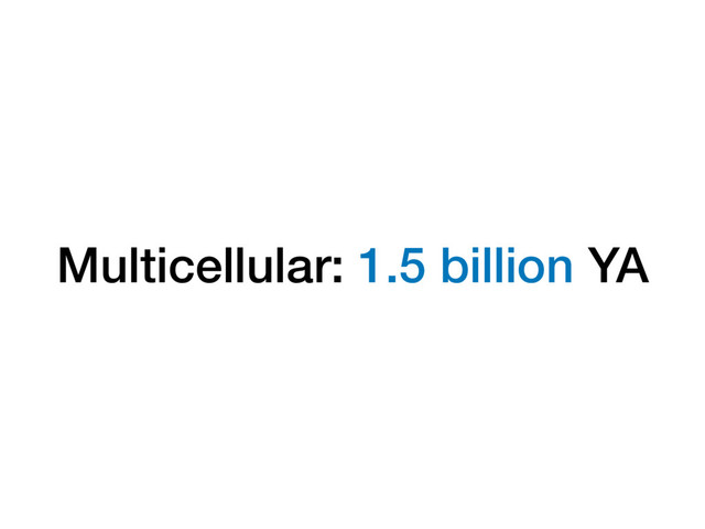 Multicellular: 1.5 billion YA
