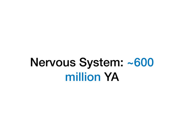Nervous System: ~600
million YA

