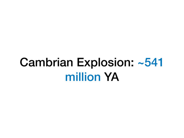 Cambrian Explosion: ~541
million YA

