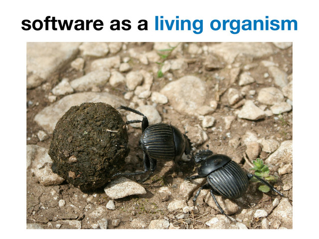 software as a living organism
