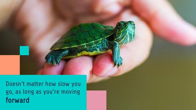 Doesn’t matter how slow you
go, as long as you’re moving
forward

