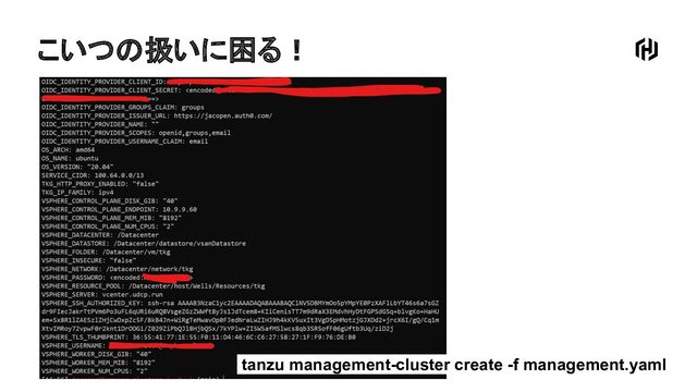 こいつの扱いに困る！
tanzu management-cluster create -f management.yaml
