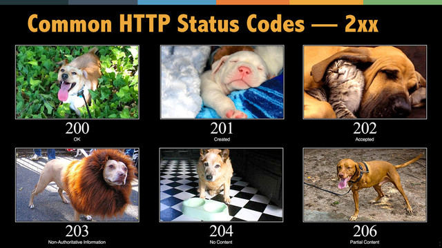12
Common HTTP Status Codes — 2xx
