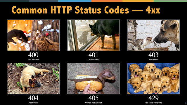 14
Common HTTP Status Codes — 4xx
