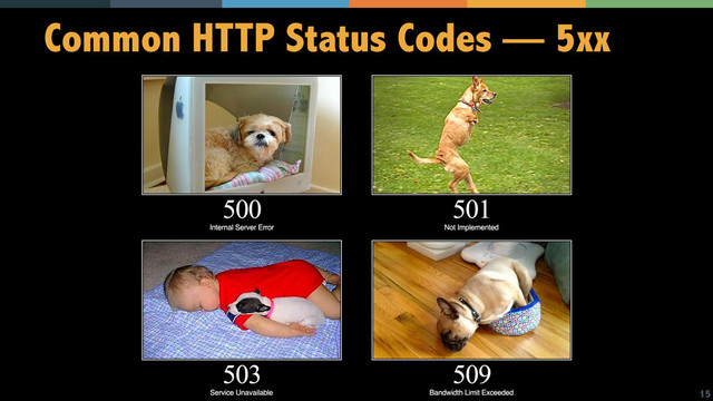 15
Common HTTP Status Codes — 5xx
