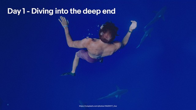 Day 1 - Diving into the deep end
6
https://unsplash.com/photos/tN63HVT_Jxw
