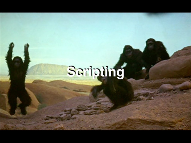 Scripting
