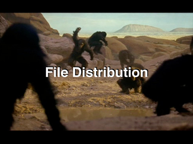 File Distribution
