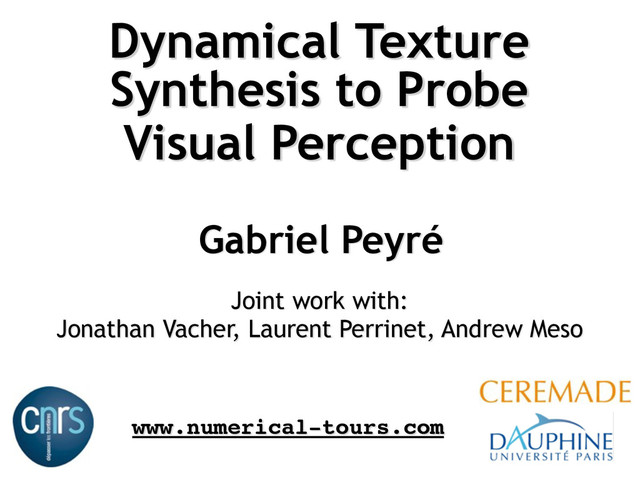 Dynamical Texture
Synthesis to Probe
Visual Perception
Gabriel Peyré
www.numerical-tours.com
Joint work with:
Jonathan Vacher, Laurent Perrinet, Andrew Meso
