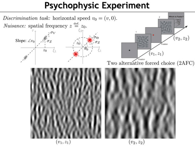 (v1, z1)
Psychophysic Experiment
Discrimination task: horizontal speed
v0 = (
v,
0).
Two alternative forced choice (2AFC)
Nuisance: spatial frequency z def.
= z0.
232
233
234
235
236
237
238
239
240
241
242
243
244
245
246
247
248
249
250
251
252
253
254
255
256
257
258
259
260
The distributions of the parameters are thus chosen as
P
Z(z)
/ z0
z
e
ln(
z
z
0
)
2
2 ln(1+ 2
Z ) ,
P
⇥(✓)
/
e
cos(2(
✓ ✓
0))
2
⇥
and P
||
V v0
||(r)
/
e
r2
2 2
V
.
(6)
z0
Z
V
⇠1
⌧ ⇠2
⇠1
✓0
z0
⇥
Z
Slope: \
v0
Two different projections of
ˆ
in Fourier space t
MC of two different spatial frequencies
z
Figure 2: Graphical representation of the covariance (left) —note the cone-like shape of the
envelopes– and an example of synthesized dynamics for narrow-band and broad-band Motion
Clouds (right).
Plugging these expressions (6) into the deﬁnition (5) of the power spectrum of the motion cloud,
one obtains a parameterization which is very similar to the one originally introduced in [9]. The fol-
lowing table articulates the speed
v0
and frequency
(✓0, z0)
central parameters in term of amplitude
and orientation, each one being coupled with the relevant dispersion parameters. Figure 2 shows a
graphical display of the inﬂuence of these parameters.
Speed Freq. orient. Freq. amplitude
(mean, dispersion)
(v0, V ) (✓0, ⇥) (z0, Z)
Remark 2. Note that the ﬁnal envelope of
ˆ
is in agreement with the formulation that is used in [8].
232
233
234
235
236
237
238
239
240
241
242
243
244
245
246
247
248
249
250
251
252
253
254
255
256
257
258
259
260
The distributions of the parameters are thus chosen as
P
Z(z)
/ z0
z
e
ln(
z
z
0
)
2
2 ln(1+ 2
Z ) ,
P
⇥(✓)
/
e
cos(2(
✓ ✓
0))
2
⇥
and P
||
V v0
||(r)
/
e
r2
2 2
V
.
(6)
z0
Z
V
⇠1
⌧ ⇠2
⇠1
✓0
z0
⇥
Z
Slope: \
v0
Two different projections of
ˆ
in Fourier space t
MC of two different spatial frequencies
z
Figure 2: Graphical representation of the covariance (left) —note the cone-like shape of the
envelopes– and an example of synthesized dynamics for narrow-band and broad-band Motion
Clouds (right).
Plugging these expressions (6) into the deﬁnition (5) of the power spectrum of the motion cloud,
one obtains a parameterization which is very similar to the one originally introduced in [9]. The fol-
lowing table articulates the speed
v0
and frequency
(✓0, z0)
central parameters in term of amplitude
and orientation, each one being coupled with the relevant dispersion parameters. Figure 2 shows a
graphical display of the inﬂuence of these parameters.
Speed Freq. orient. Freq. amplitude
(mean, dispersion)
(v0, V ) (✓0, ⇥) (z0, Z)
Remark 2. Note that the ﬁnal envelope of
ˆ
is in agreement with the formulation that is used in [8].
(v2, z2)
(v1, z1) (v2, z2)
