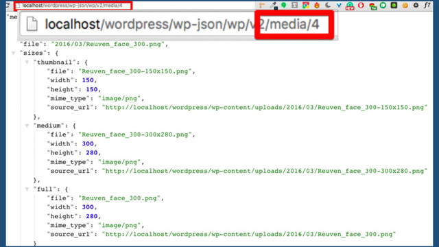 What is the WordPress RESTful API?
