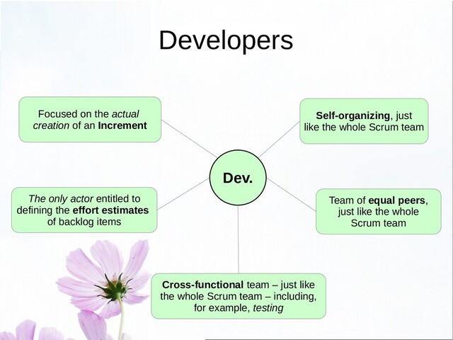 Developers
Self-organizing, just
like the whole Scrum team
The only actor entitled to
defining the effort estimates
of backlog items
Cross-functional team – just like
the whole Scrum team – including,
for example, testing
Team of equal peers,
just like the whole
Scrum team
Focused on the actual
creation of an Increment
Dev.
