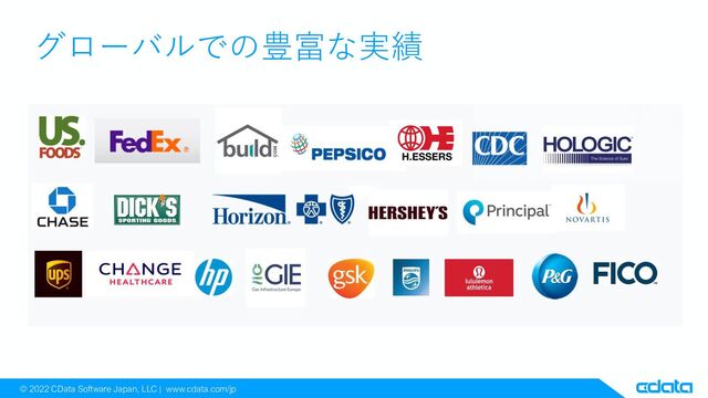© 2022 CData Software Japan, LLC | www.cdata.com/jp
グローバルでの豊富な実績
