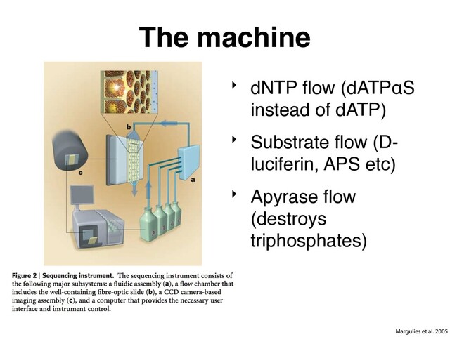 The machine
‣ dNTP ﬂow (dATPαS
instead of dATP)
‣ Substrate ﬂow (D-
luciferin, APS etc)
‣ Apyrase ﬂow
(destroys
triphosphates)
Margulies et al. 2005
