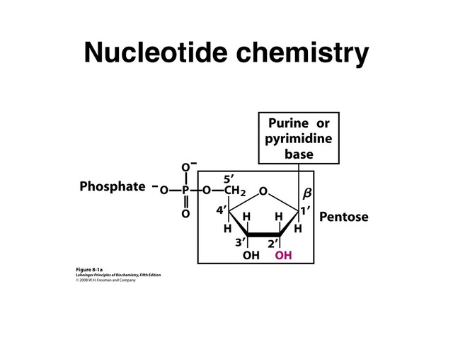 Nucleotide chemistry
