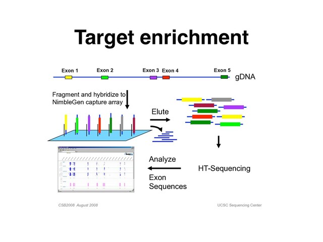 Target enrichment
CSB2008 August 2008 UCSC Sequencing Center
gDNA
Exon 1 Exon 2 Exon 3 Exon 4 Exon 5
Fragment and hybridize to
NimbleGen capture array
HT-Sequencing
Analyze
Exon
Sequences
Elute
